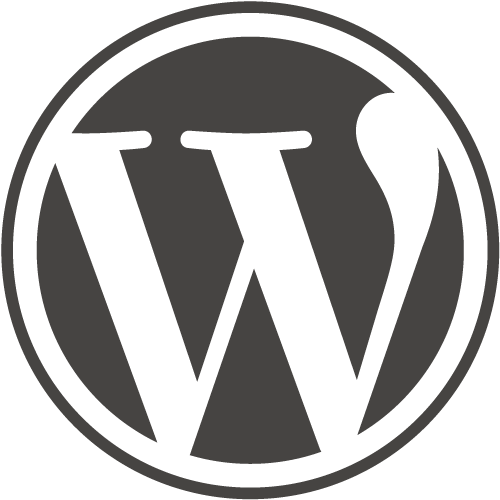 Optimiser son site WordPress toujours plus